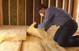 Best Eco-Friendly or Green Insulation Solutions  in Daisetta, TX