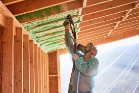 Best Basement Insulation  in Daisetta, TX